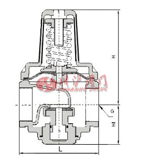 黃銅支管減壓閥結(jié)構(gòu)圖