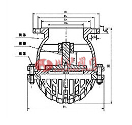 底閥結(jié)構(gòu)圖