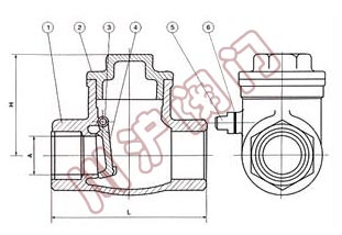 內(nèi)螺紋止回閥結(jié)構(gòu)圖